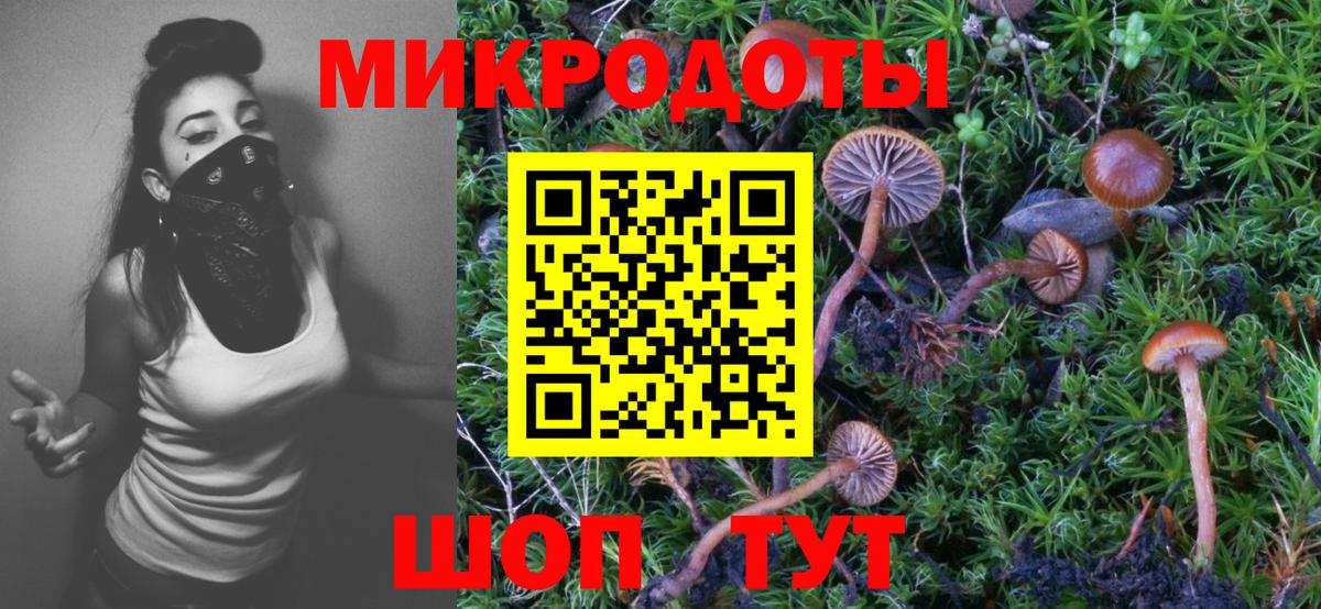 Галлюциногенные грибы GOLDEN TEACHER  Галлюциногенные грибы Psilocybe  Люберцы  Вход с VPN 